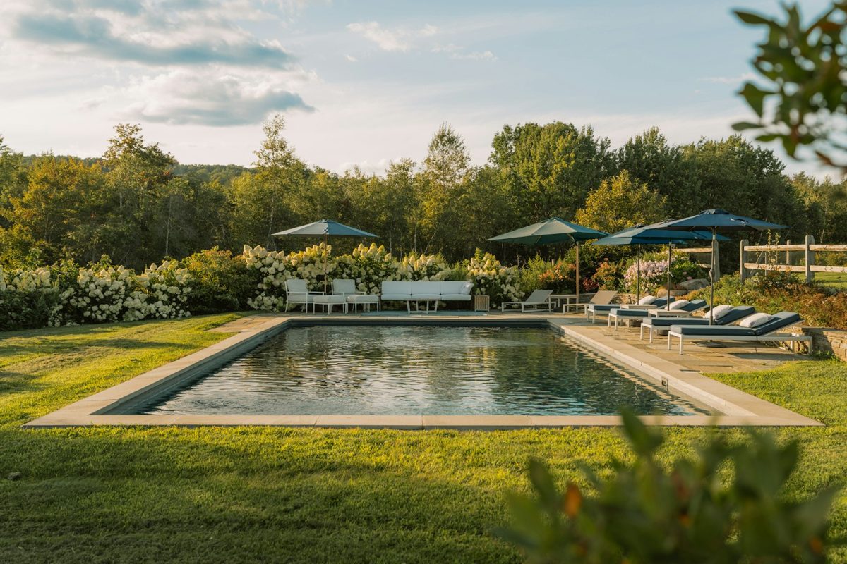 Piscine rectangulaire dans un jardin arboré, vue d'ensemble du bassin et de sa plage