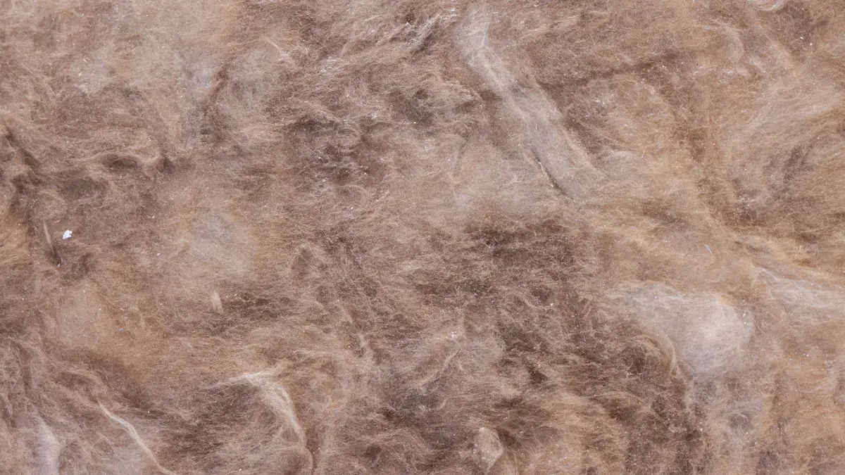 laine de bois isolation — Laine de bois isolation : ce que disent les sources
